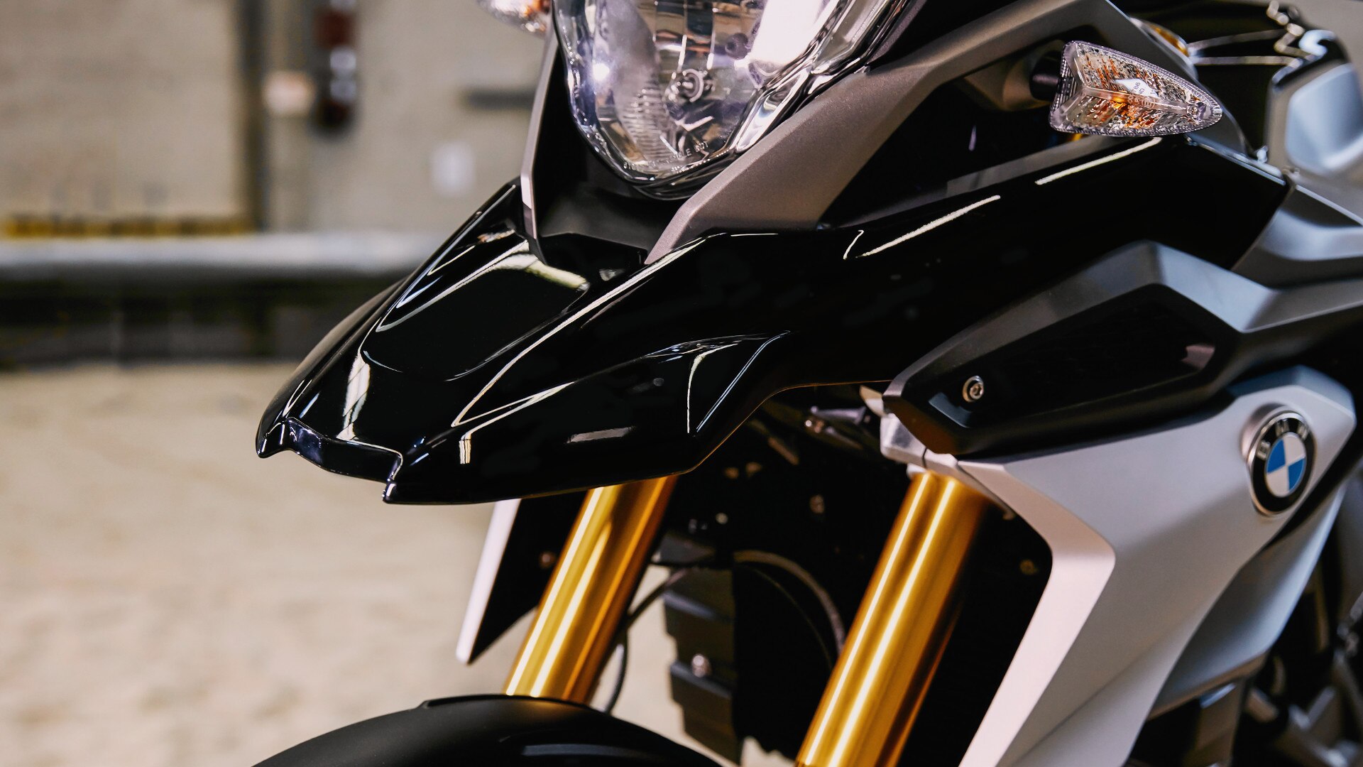 G 310 GS GS njuška