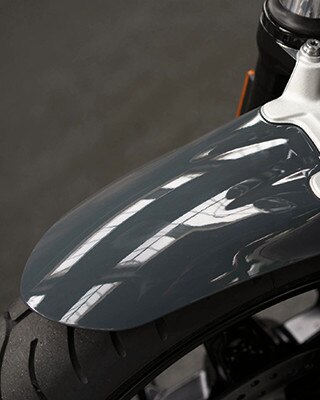R nineT Pure prednji blatobran